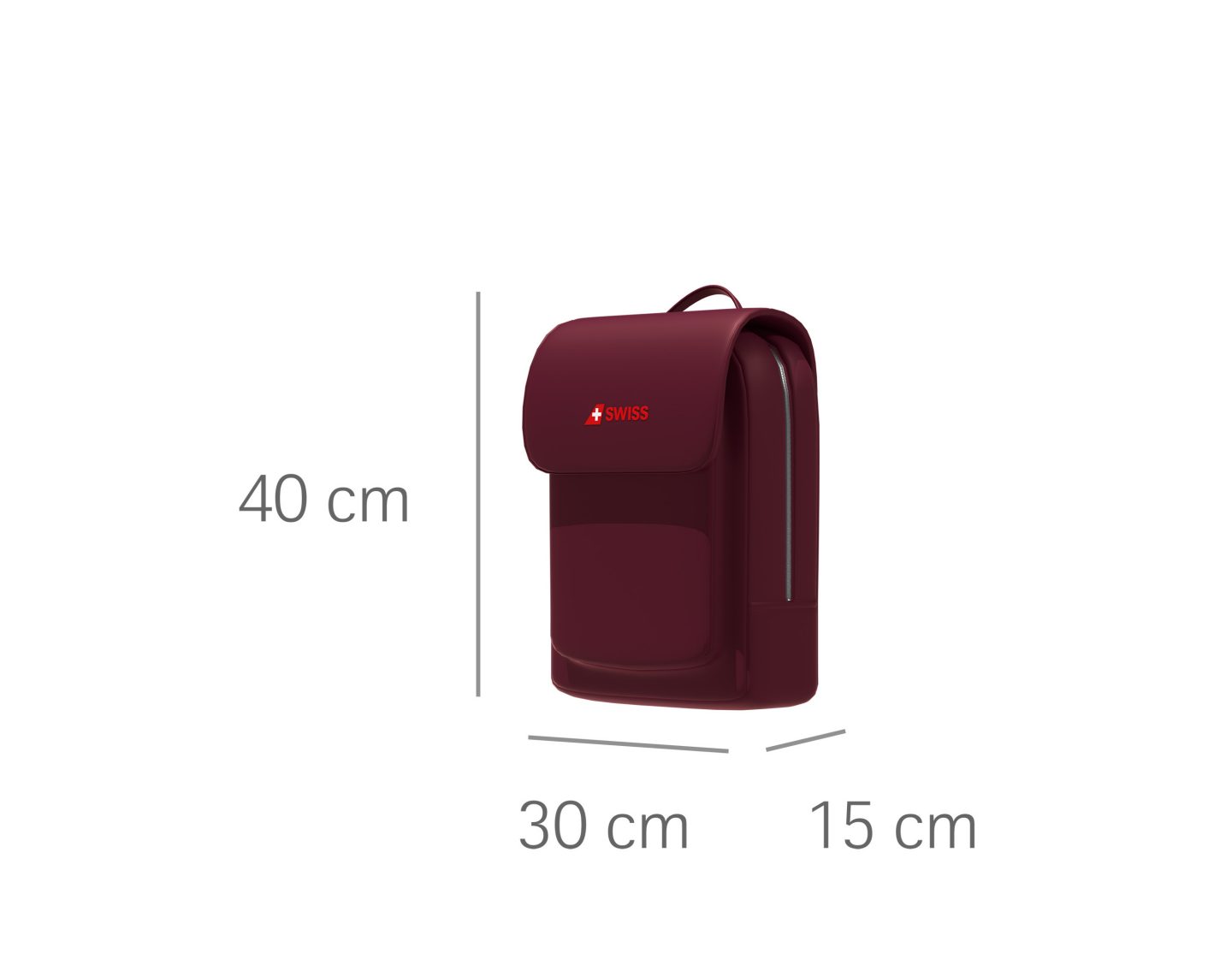 Backpack or handbag