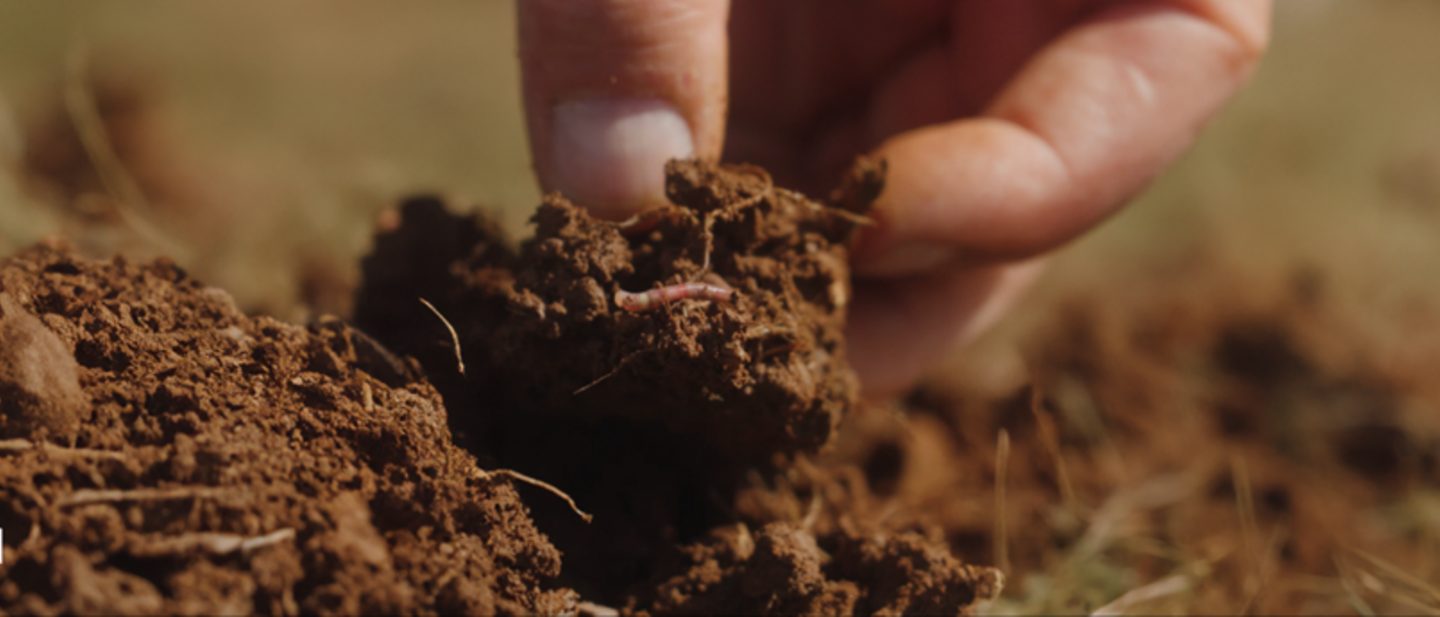 A person digs in the soil while holding a worm in their hand, illustrating the connection to nature.