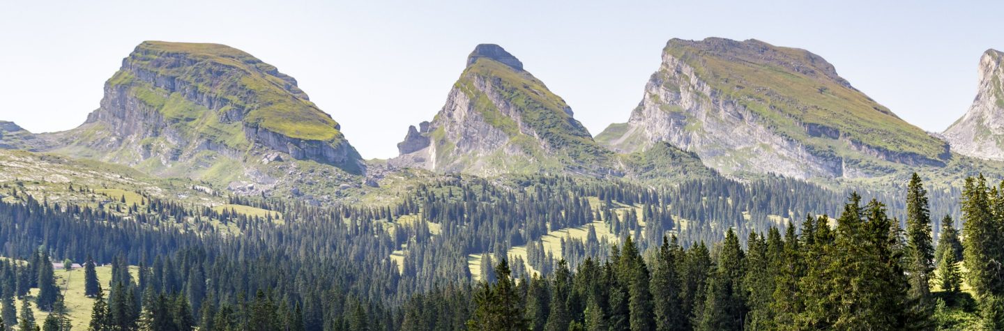 Panoramic view of green mountains, rocky cliffs, and dense evergreen forests.