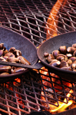 Holiday Cargo_Transporting chestnuts to the Big Apple