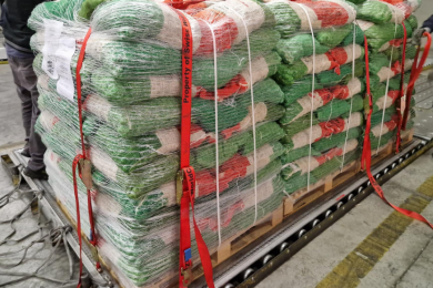 After a careful quality check of the chestnuts, they were packed into bags and secured on several pallets for transport. 