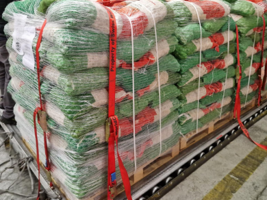 Nach einer sorgfältigen Qualitätsprüfung wurden die Marroni in Säcke verpackt und auf mehreren Paletten für den Transport gesichert. 